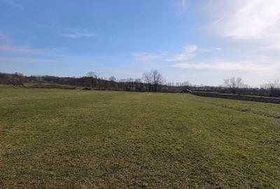 Teren de 3600 mp, în Exterior Vest - 1