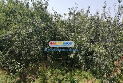 Casă cu Teren 2000 Mp în Central - 4