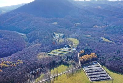 Teren Intravilan - Amplasare Unica - 19