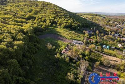 Teren de 2859 mp, în Visterna - 7
