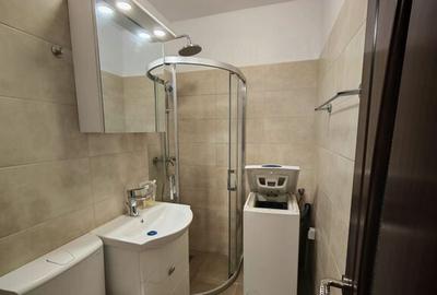 Garsoniera renovata Aparatorii Patriei - 3