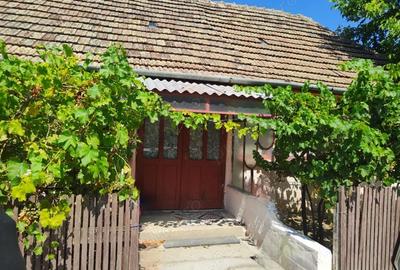 Casă cu 6 camere cu Teren 1596 Mp în Nerău - 7