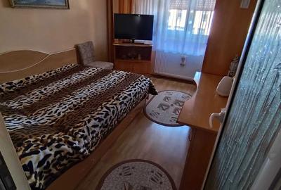 Apartament cu 3 camere decomandat în Ultracentral - 5