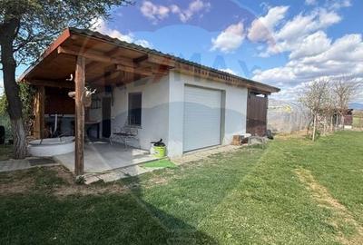 Casă cu 4 camere cu Teren 2900 Mp în Colțirea - 22