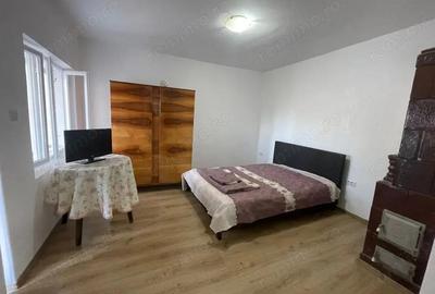 Vanzare proprietate in Novaci - langa supermarket Penny - 9