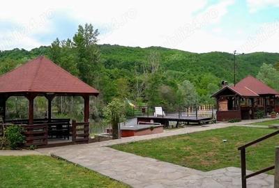 Teren de 50000 mp, în Comișani - 5