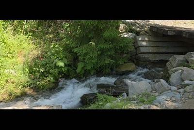 Teren de 8000 mp, în Bologa - 5