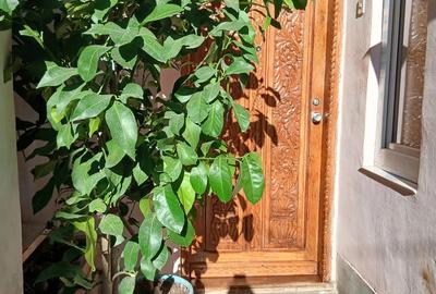 Casa de locuit sau pentru spatiu comercial - 3