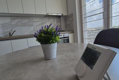 Apartament cu 2 camere decomandat, mobilat în Theodor Pallady - 3