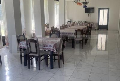 Vanzare pensiune intr-o zona superba din Poiana Negrii - 18