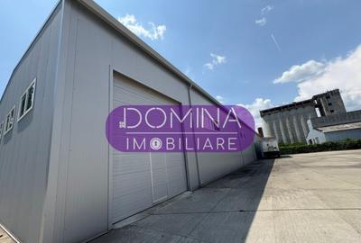 Complex industrial multifunc?ional Targu Jiu - 3