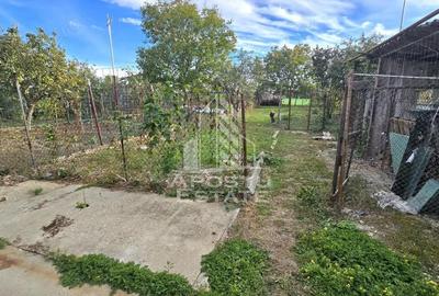 Casa individuala, zona Mehala, 740 mp teren - 10