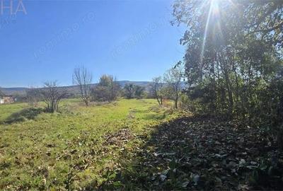 Casă cu 4 camere cu Teren 2500 Mp în Livezile - 1