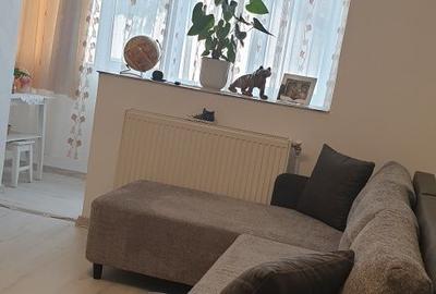 Apartament cu 2 camere semidecomandat în Teilor - 4