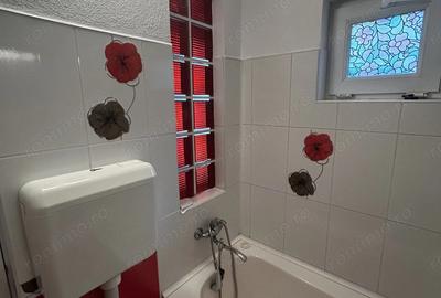 Casa 2 Camere Boul Rosu De Inchiriat - 12