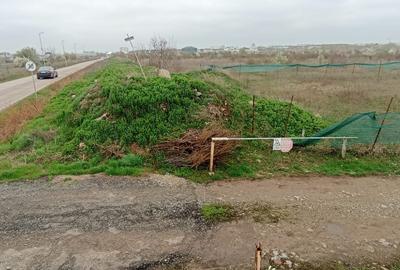 Vanzare teren 12500 mp la sosea pe str Gladiolelor Prelungirea Ghencea Sect 5 - 5