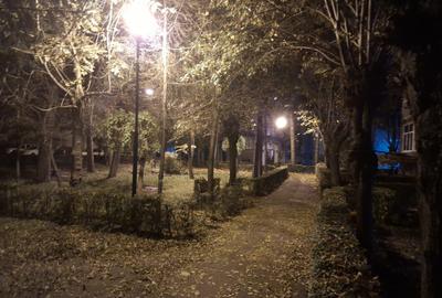 3 camere Exercițiu / fondul vechi , Decomandat / centrala , Amplasament DEOSEBIT - 16