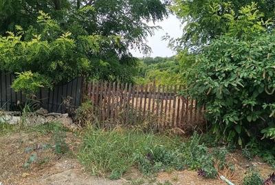 Lumina - Primarie, teren 3000 cu casa demolabila - 4