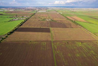 Teren de 50000 mp in Arad - 2