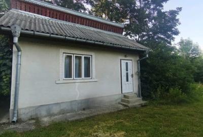 Casa individuala, 3500mp teren, zona Negostina, Siret - 1