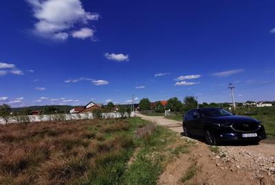 Teren intravilan de 1000 mp, în Bascov - 12
