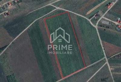 Teren de 6450 mp, în Central