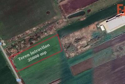 Teren de 25000 mp, în Est - 3