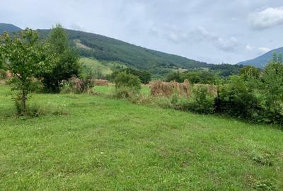 Teren intravilan 5360mp Bistrita Nasaud | Tiha Bargaului - 11