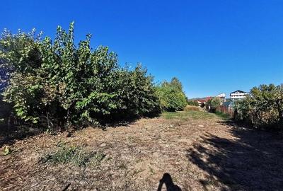 Teren de vanzare in zona Ostroveni - 9