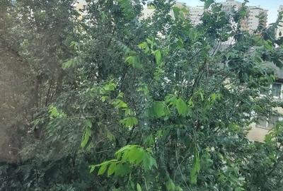 Apartament cu 2 camere decomandat în Basarabia - 9