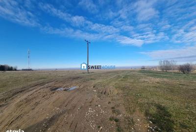 Spațiu comercial, în Dejani - 5