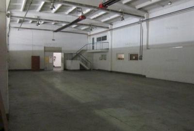 Spatiu industrial/Depozite/Hale - 2