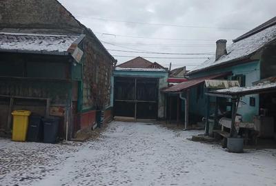 Casă cu 5 camere în Nou - 4