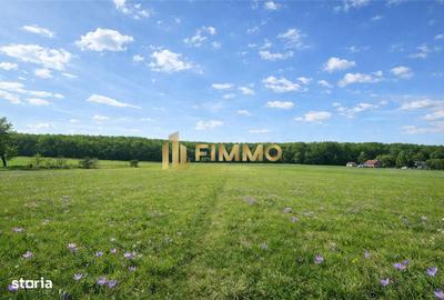 Teren de 3200 mp, în Mitocu Dragomirnei - 2