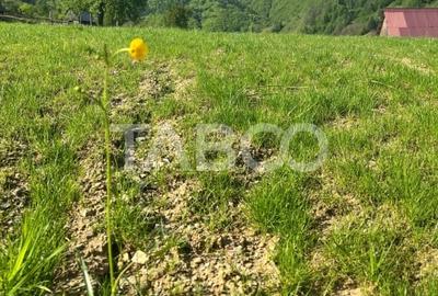 Teren 1059 mp in Raul Sadului– Natura  liniste si investitie - 5