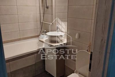 Apartament cu 2 camere semidecomandat, mobilat în Iosefin - 8