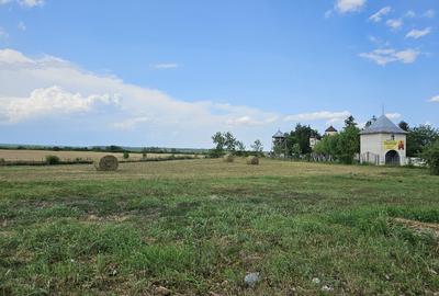 Poienarii Burchii, judetul Prahova, teren 6.200 mp, langa primarie - 3