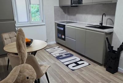 Apartament cu 2 camere decomandat, mobilat în Herăstrău - 6