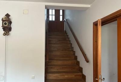 Casă cu 6 camere cu Teren 4650 Mp în Pruni - 4