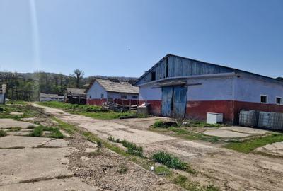 Spațiu comercial, în Central - 5