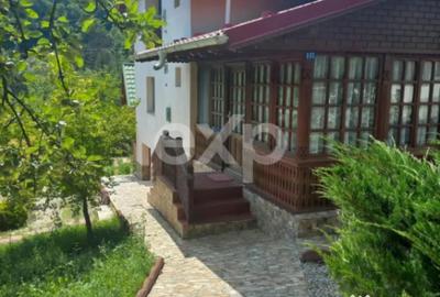 Casă cu 4 camere cu Teren 5500 Mp în Mălureni - 17