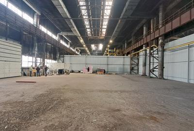 Titan - Bulevardul Basarabia, hala 1000 mp - 2