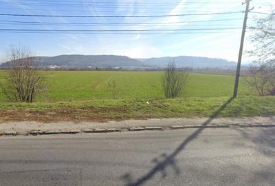 Teren Construcții intravilan de 10000 mp, în Central - 1