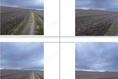 Teren extravilan cota parte 3/24, Nalbant ; ID: R2827364 - 8