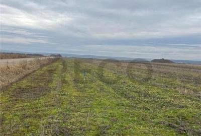 Teren de 550 mp, în Oșorhei - 5