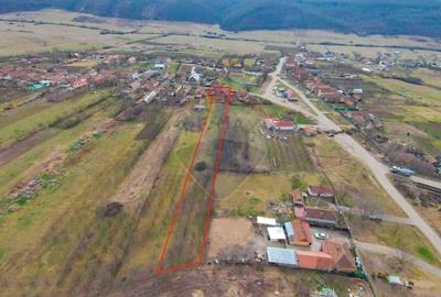 De vanzare Casa + Teren 2685 mp Intravilan, Betfia, Bihor - 6