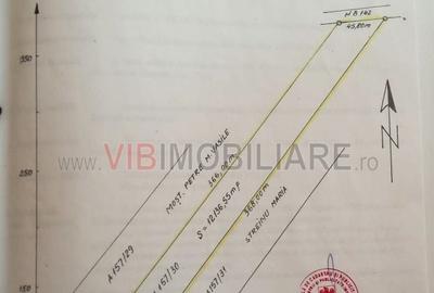 Comuna Dascalu - A0 - teren intravilan 4500 mp - 5