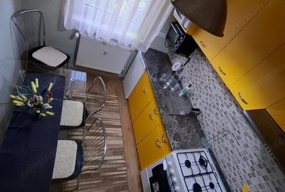 Apartament mobilat si utilat in centrul orasului - 8