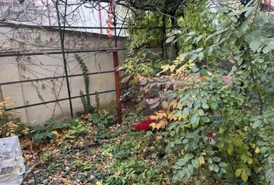 Vanzare vila Drumul Sarii - 17