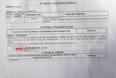 Spațiu comercial, în Turdaș - 3